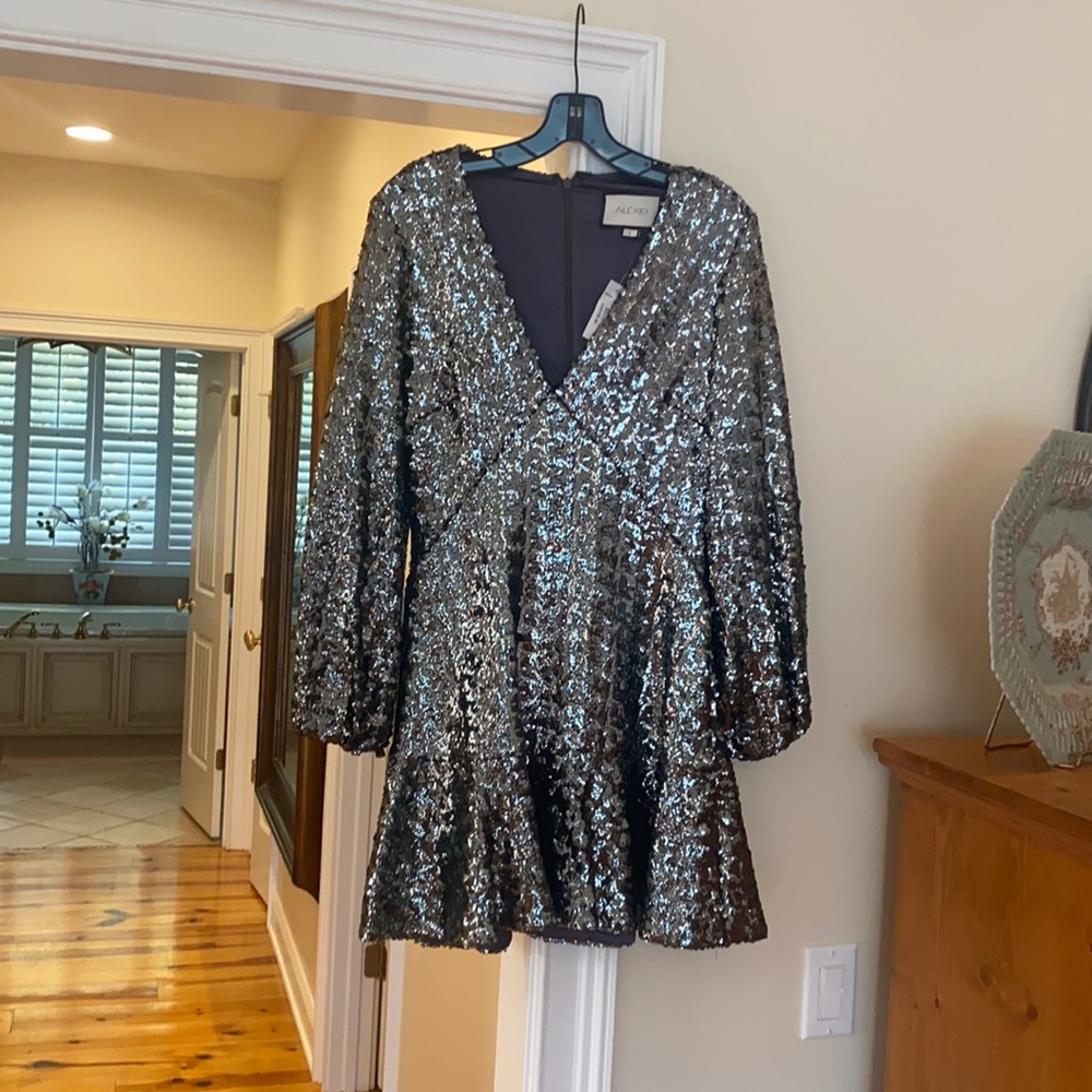 Alexis sequin dress